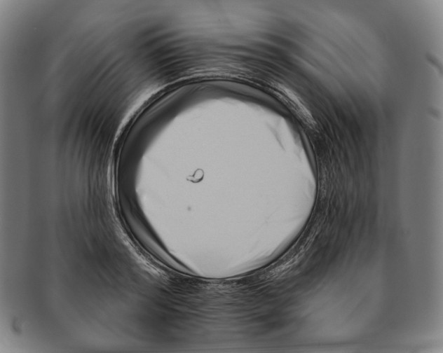 X0000090970796200708301225