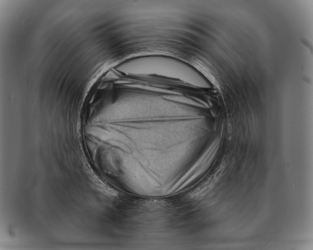 X0000090970797200708301225