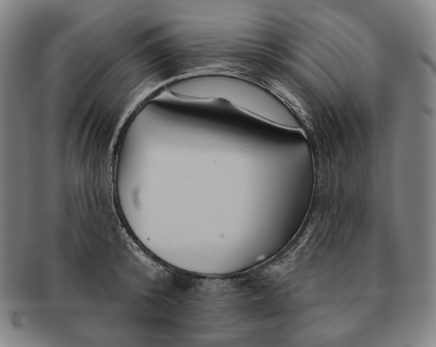 X0000090970800200708301225