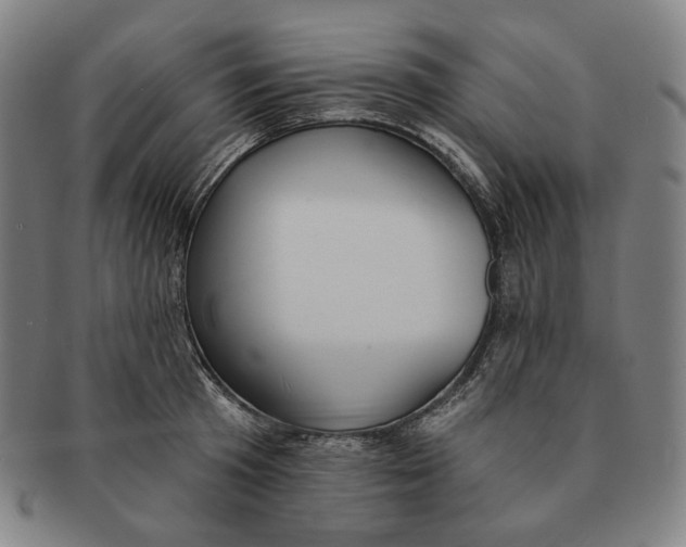 X0000090970801200708301225