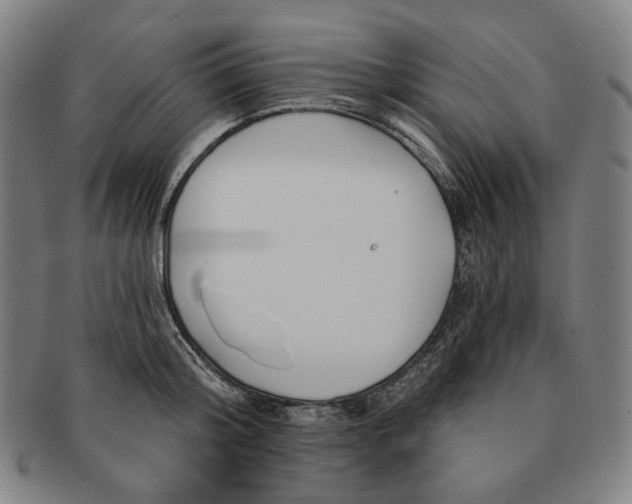 X0000090970804200708301225