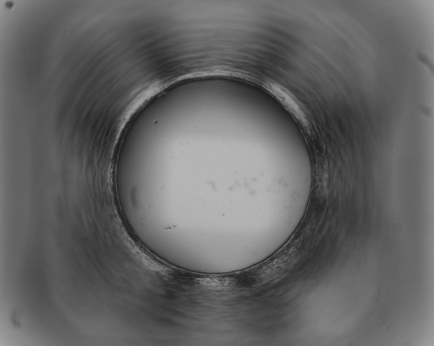 X0000090970805200708301225