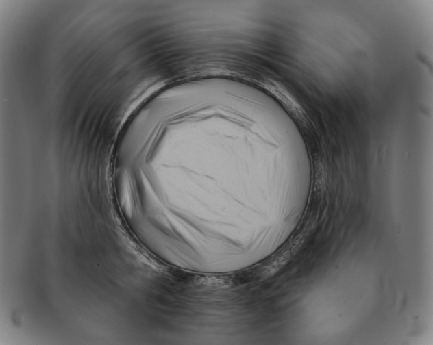 X0000090970806200708301225