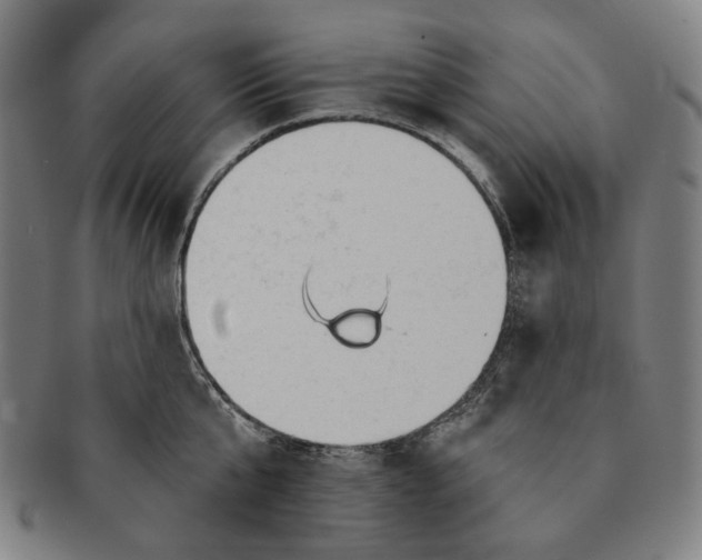 X0000090970807200708301225