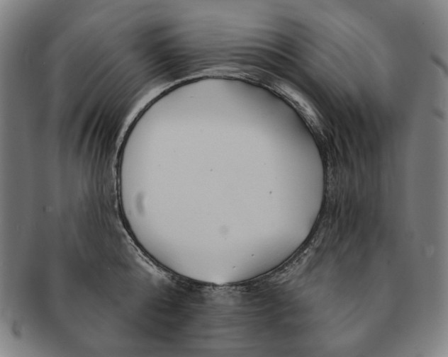 X0000090970808200708301225