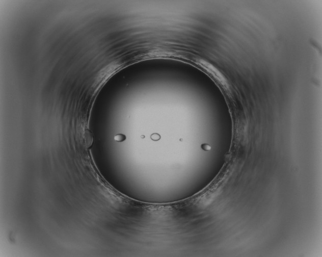 X0000090970809200708301225