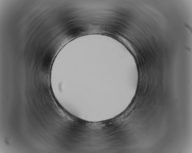 X0000090970810200708301225