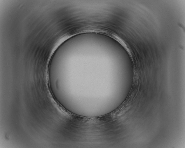 X0000090970811200708301225