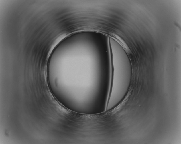 X0000090970812200708301225