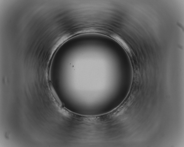 X0000090970813200708301225