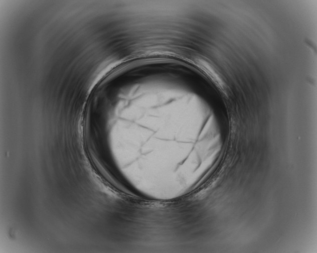 X0000090970814200708301225