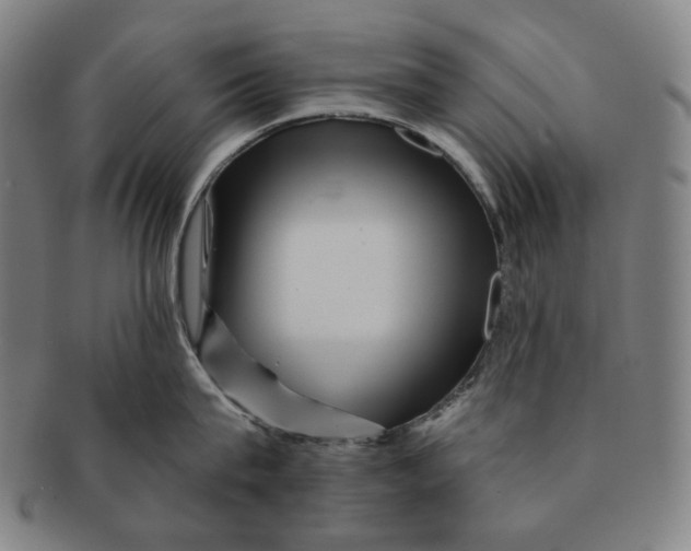 X0000090970815200708301225