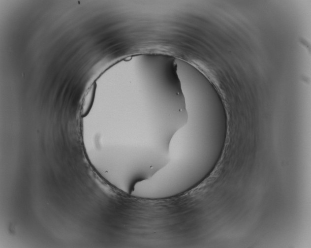 X0000090970816200708301225