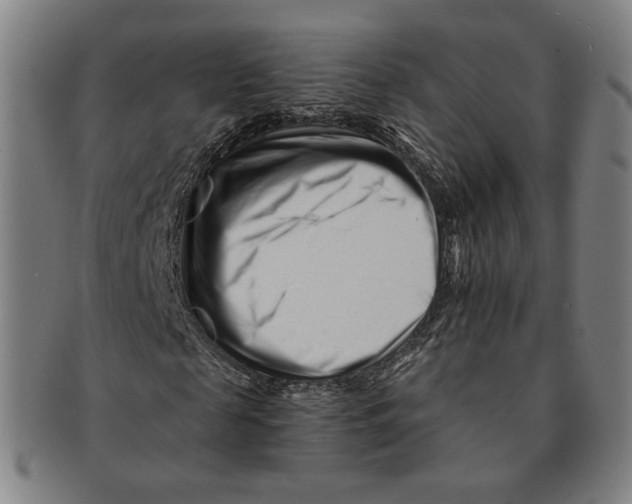 X0000090970817200708301224