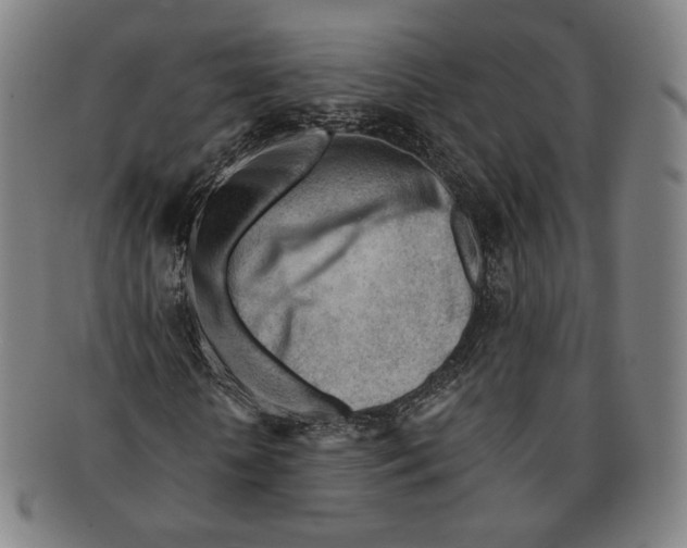 X0000090970818200708301224