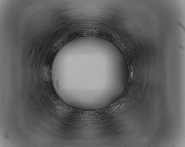 X0000090970819200708301224