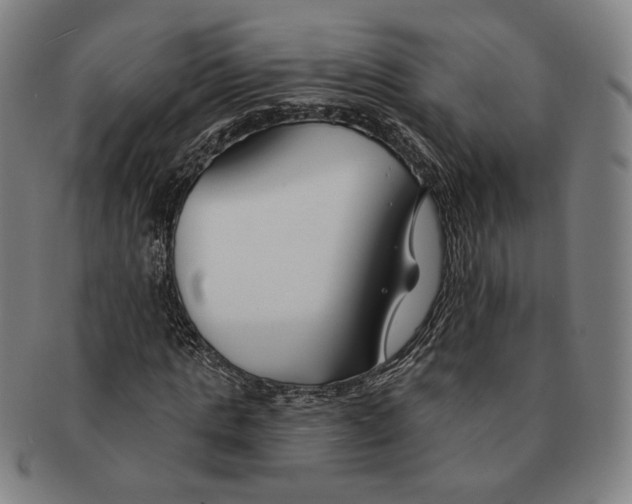 X0000090970821200708301224