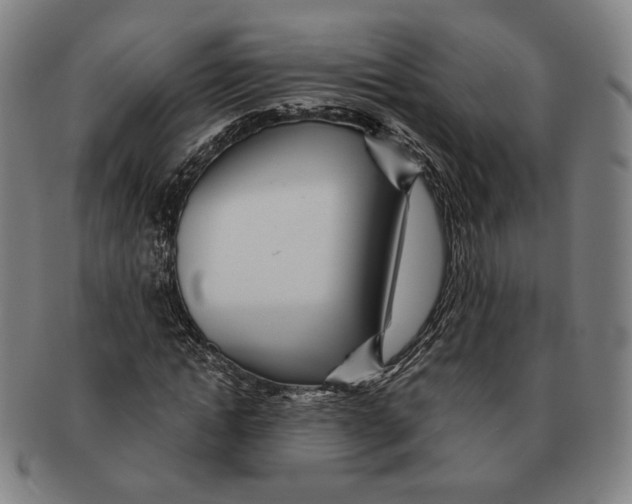 X0000090970822200708301224