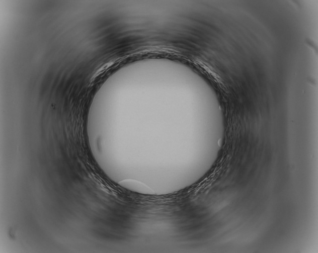 X0000090970824200708301224