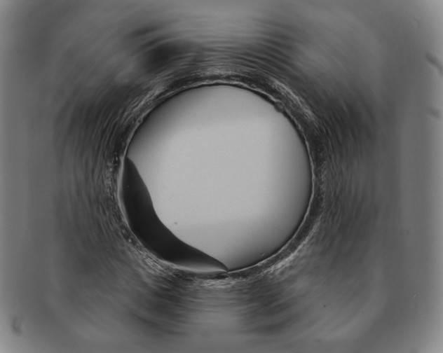 X0000090970825200708301224