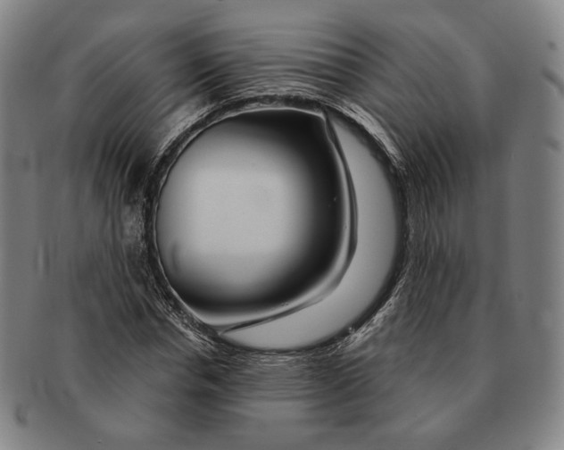 X0000090970826200708301224