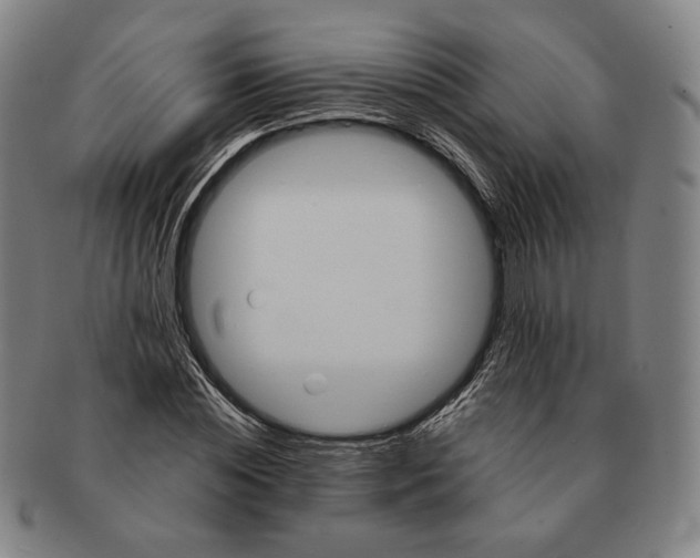 X0000090970828200708301224