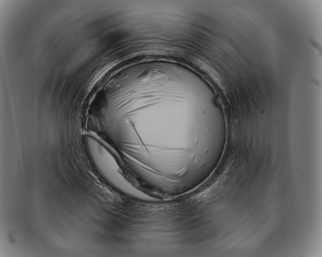 X0000090970829200708301224