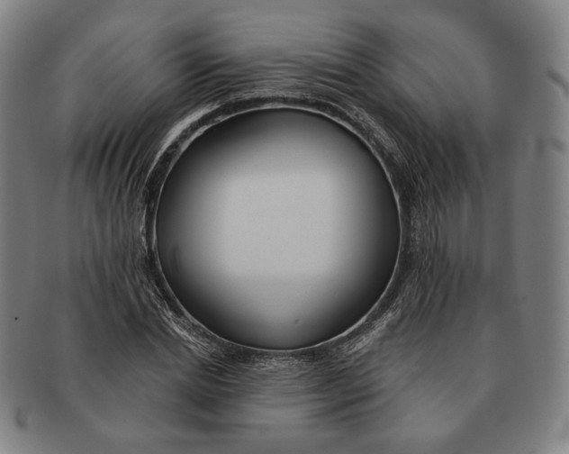 X0000090970830200708301224