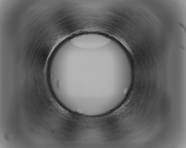 X0000090970832200708301224