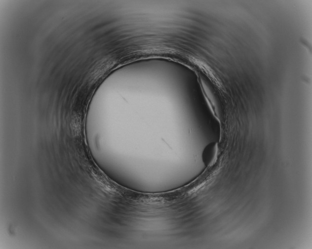 X0000090970833200708301224