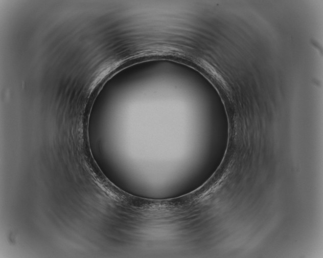 X0000090970834200708301224