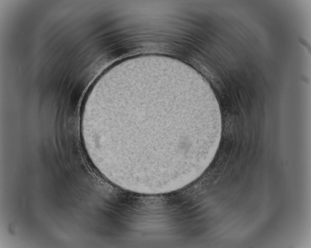 X0000090970836200708301224