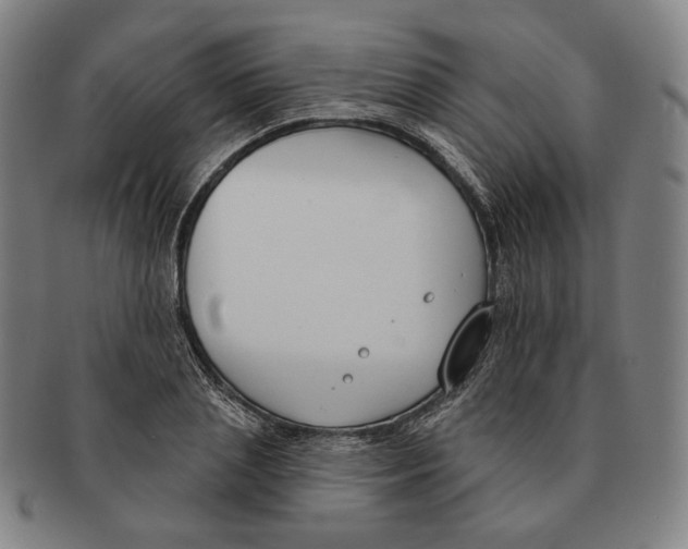 X0000090970837200708301224