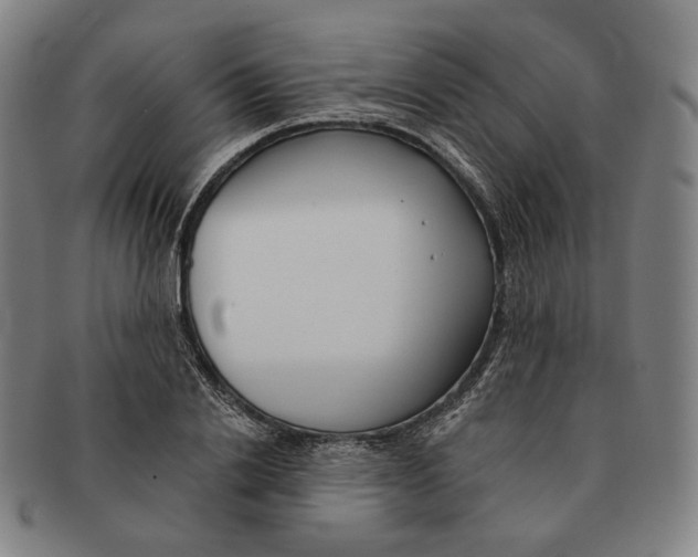 X0000090970838200708301224