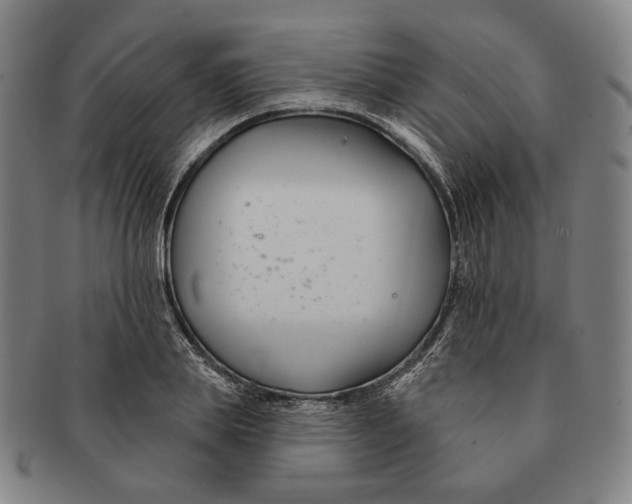 X0000090970839200708301224