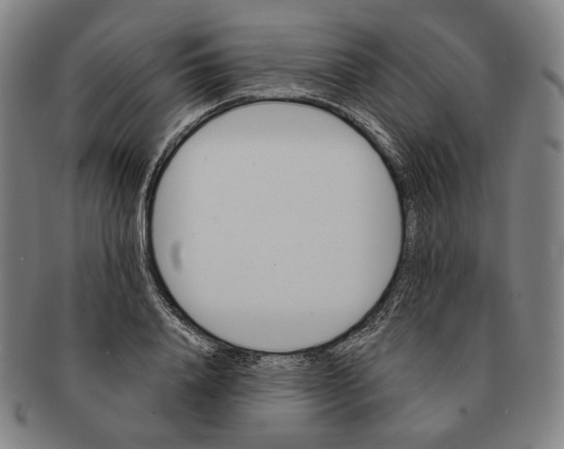 X0000090970840200708301224