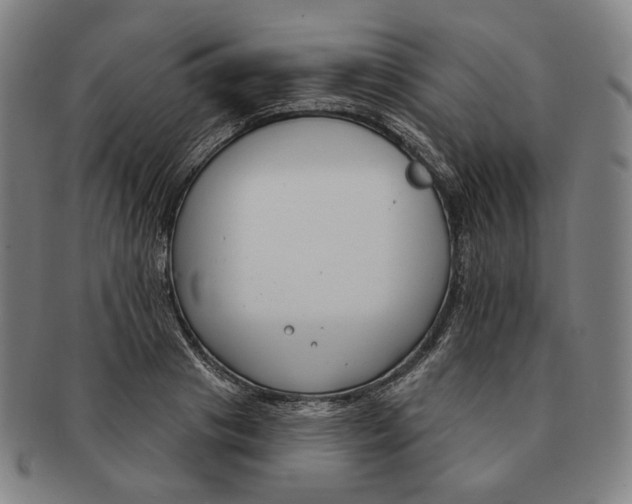 X0000090970841200708301224