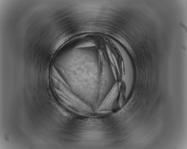 X0000090970842200708301224