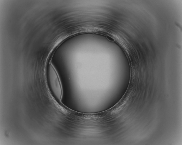 X0000090970843200708301224