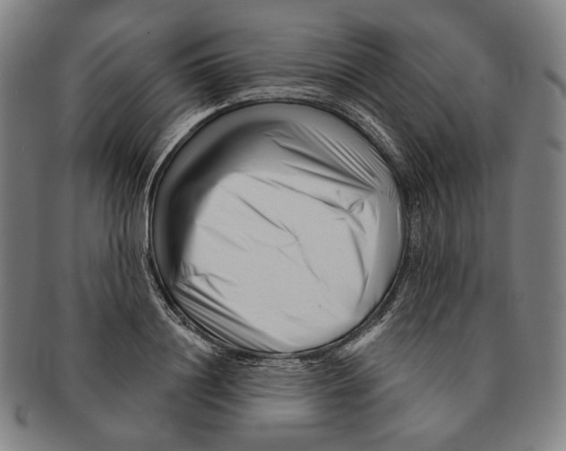 X0000090970844200708301224