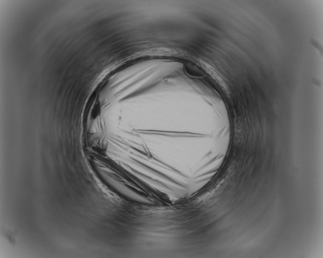 X0000090970845200708301224