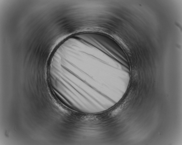 X0000090970846200708301224