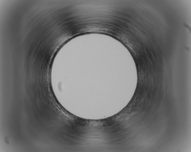 X0000090970848200708301224