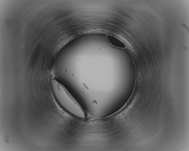 X0000090970849200708301224