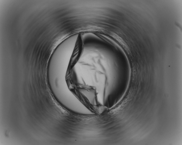 X0000090970850200708301224