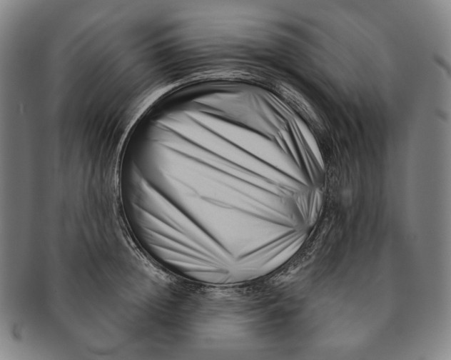 X0000090970852200708301224