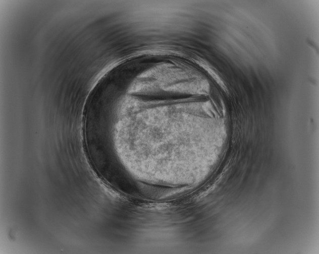 X0000090970853200708301224