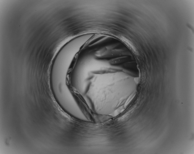 X0000090970854200708301224