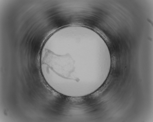 X0000090970856200708301224