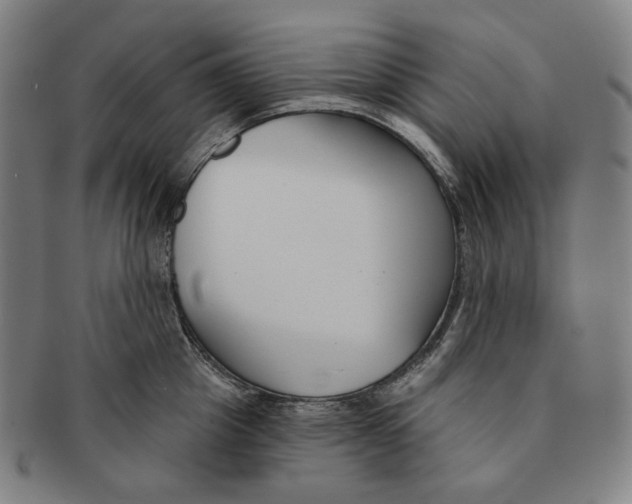 X0000090970857200708301224